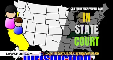 Federal Law in State Court: Can You Invoke It?