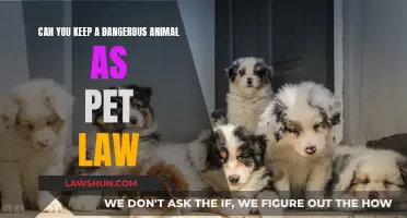 Pet Laws: Keeping Wild Animals at Home