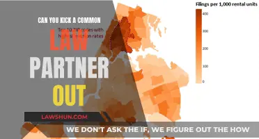 Evicting Your Common-Law Partner: What You Need to Know