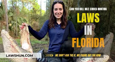 Hunting Laws: Nile Crocs in Florida