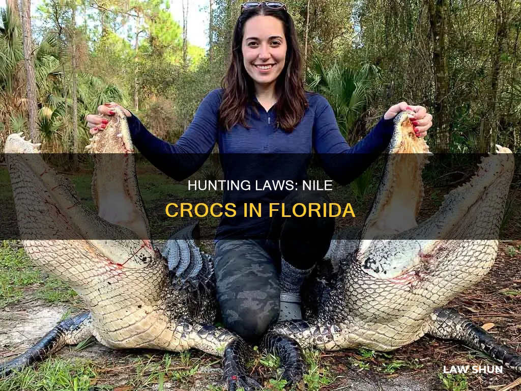 can you kill nile crocs hunting laws in florida