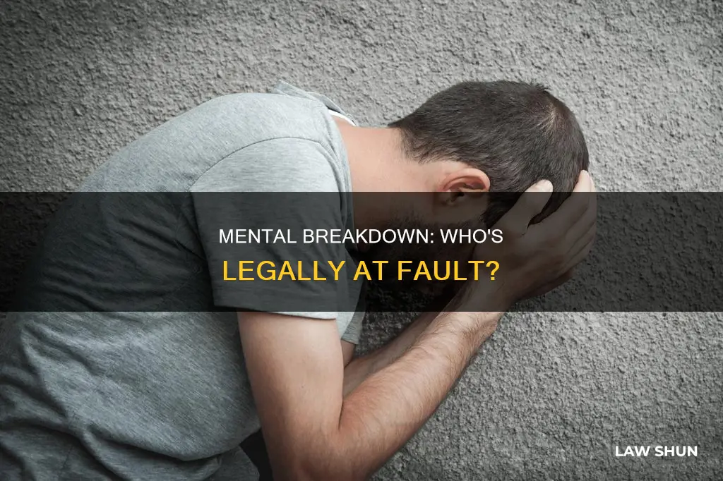 can you lawfully blame someone for a mental breakdown