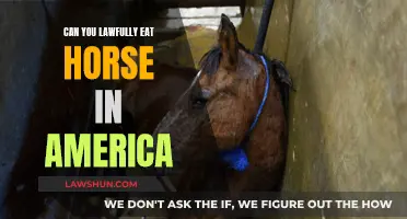 Is Eating Horse Meat Legal in America?