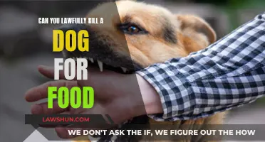 When Can You Kill a Dog for Food?