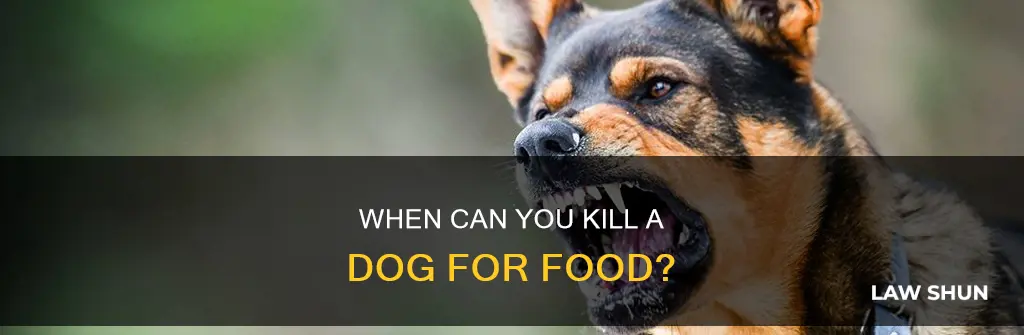 can you lawfully kill a dog for food