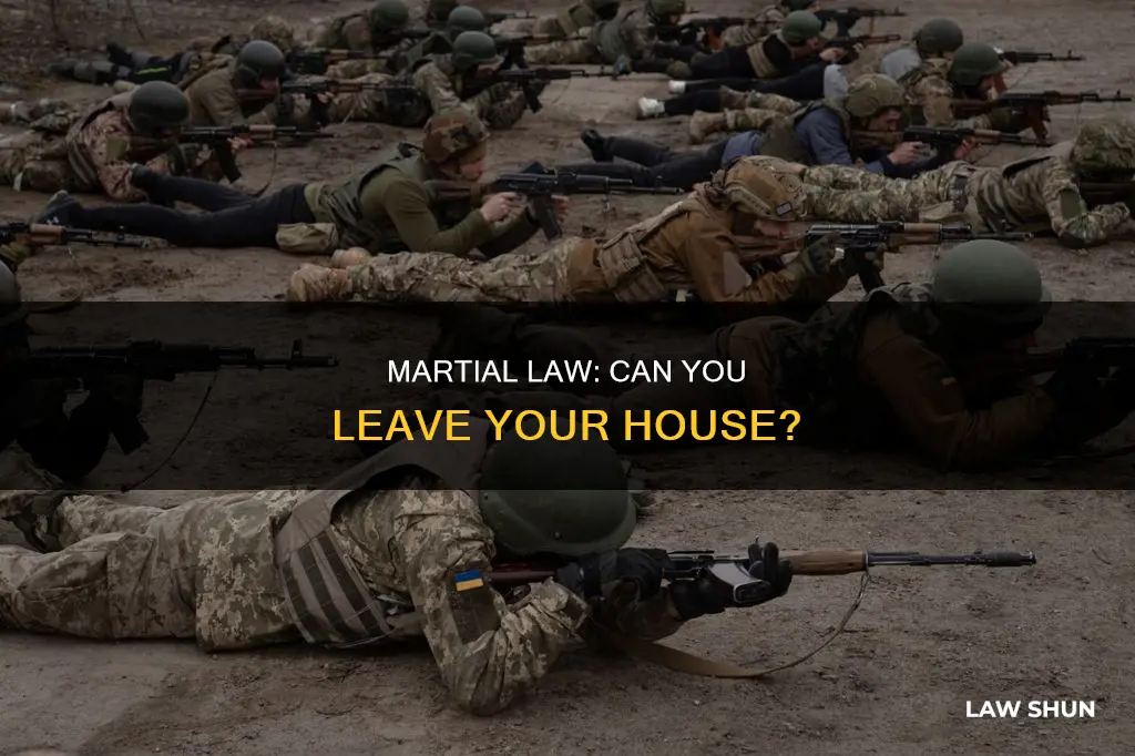 can you leave your house during marshall law