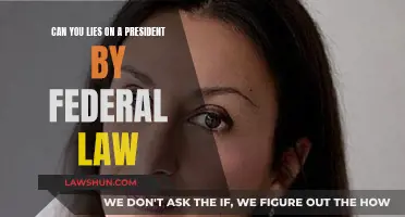 Presidential Lies: Federal Law Implications