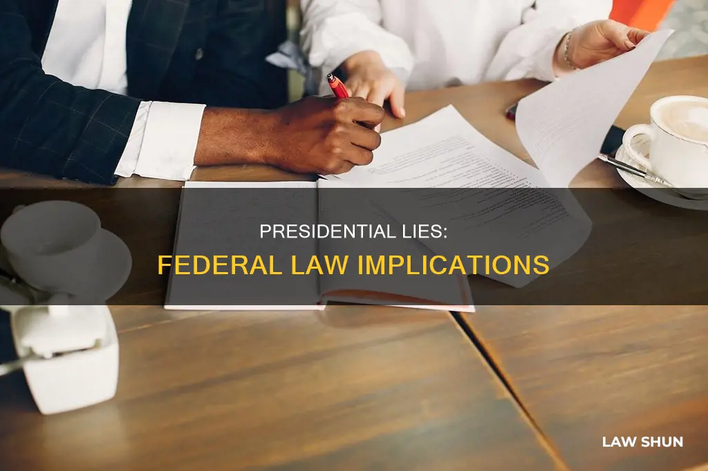 can you lies on a president by federal law