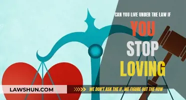The Law and Love: Can They Coexist?