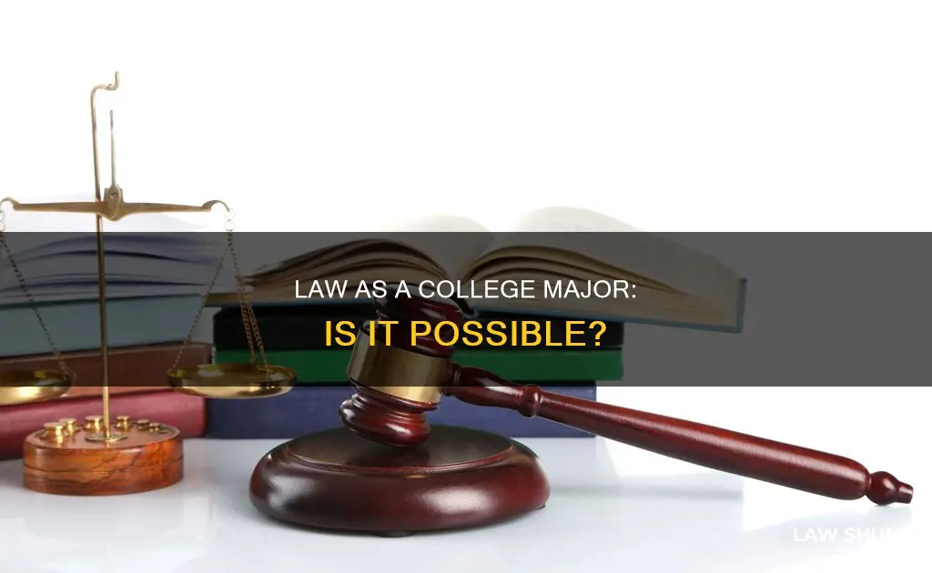 can you major in law in college