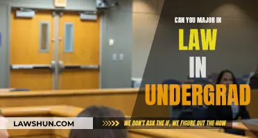 Law as an Undergraduate Major