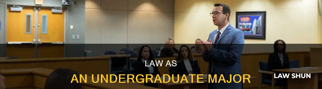 can you major in law in undergrad