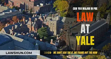 Yale Pre-Law: A Major Decision