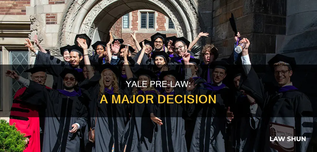 can you major in pre law at yale