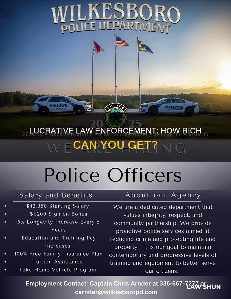 can you make a lot of money in law enforcement