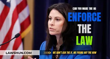 Enforcing the Law: Who Watches the Watchers?