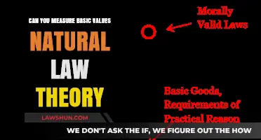 Exploring Natural Law Theory's Basic Values: Measurable?