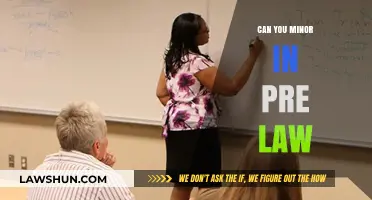 Pursuing a Pre-Law Minor: Is It Worth It?