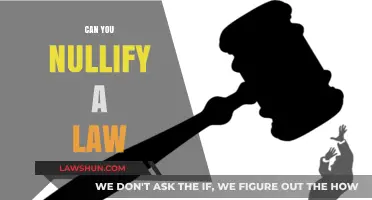 How to Nullify a Law: Strategies for Change