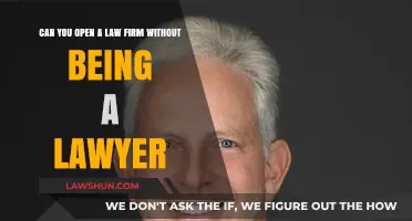 Opening a Law Firm: Non-Lawyer Edition