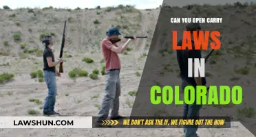 Open Carry Laws in Colorado: What You Need to Know