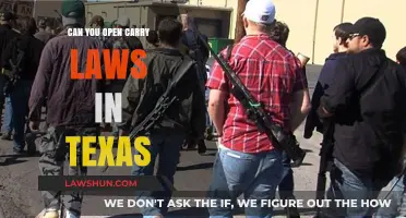 Texas Open Carry Laws: What You Need to Know
