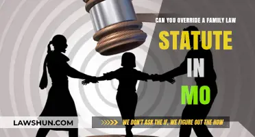 How to Override Family Law Statutes in Missouri