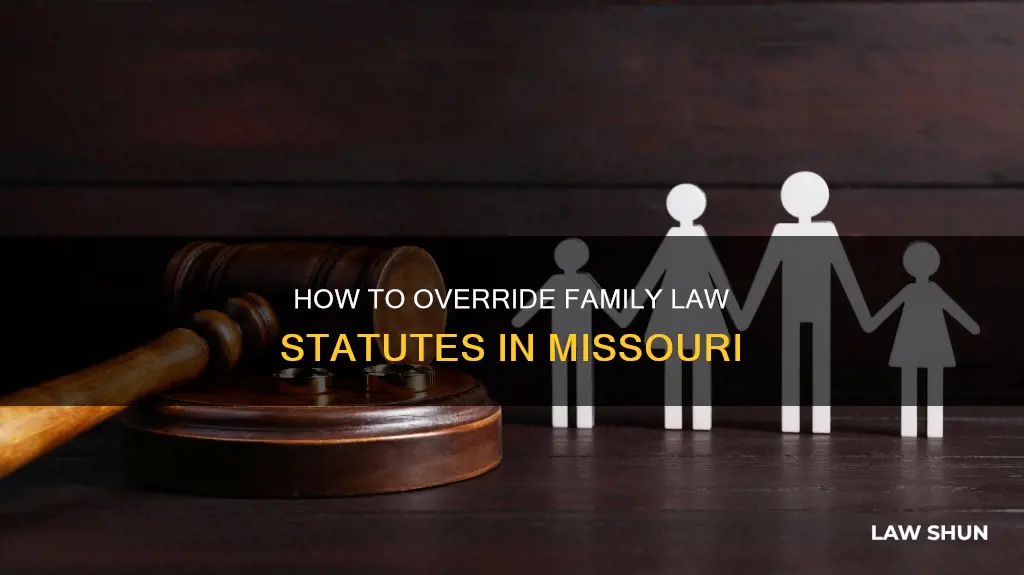 can you override a family law statute in mo