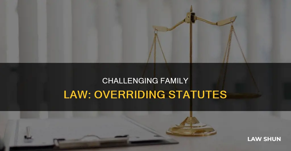 can you override a family law statute