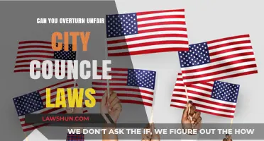 Challenging City Council Laws: Your Rights and Options