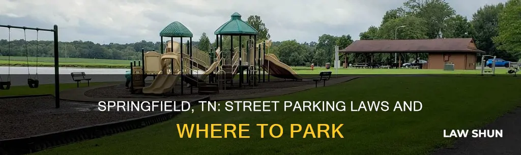 can you park on street springfield tn residential parking laws