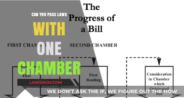 How Laws Are Passed: A Single Chamber's Power