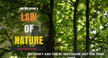 Patenting Nature's Laws: Is It Possible?