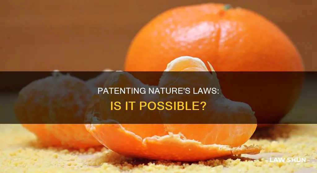 can you patent a law of nature
