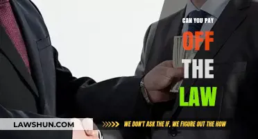 How Money Can Influence the Law