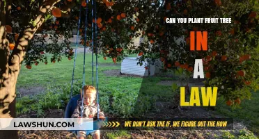 Planting Fruit Trees: Lawns to Orchards