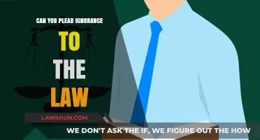 Ignorance of the Law: A Valid Defense?