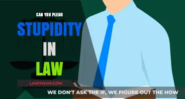 Ignorance of the Law: A Valid Defense?