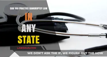 Bankruptcy Law: State-by-State Practice