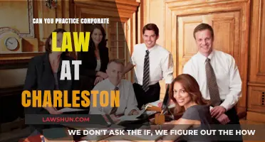 Charleston: A Place for Corporate Lawyers?