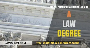 Practicing Human Rights Law: What Your Degree Offers