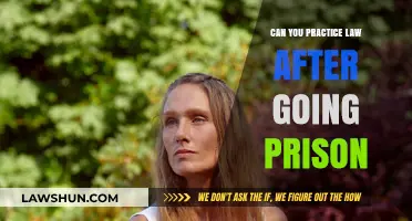 Law Practice Post-Prison: Is It Possible?