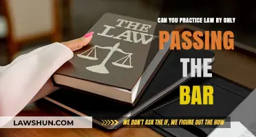 Passing the Bar: Can You Practice Law?