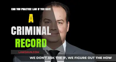 Criminal Record and a Law Career: Is It Possible?