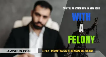 Law Practice and Felony Convictions: The New York Scenario