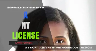 Practicing Law in Virginia: Do You Need a NY License?
