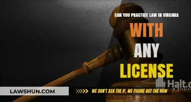 Practicing Law in Virginia: License Requirements