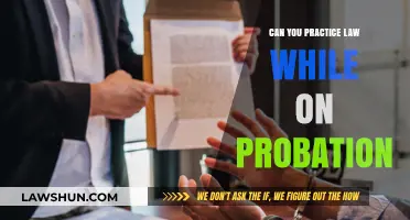 Probation and Law: Can You Practice?