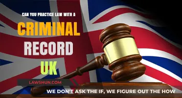 Criminal Record and Legal Career: Is It Possible?