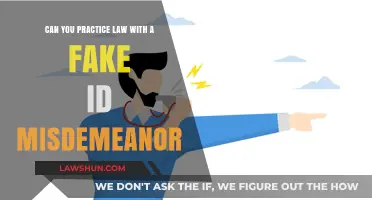 Practicing Law: Fake ID Misdemeanor Consequences